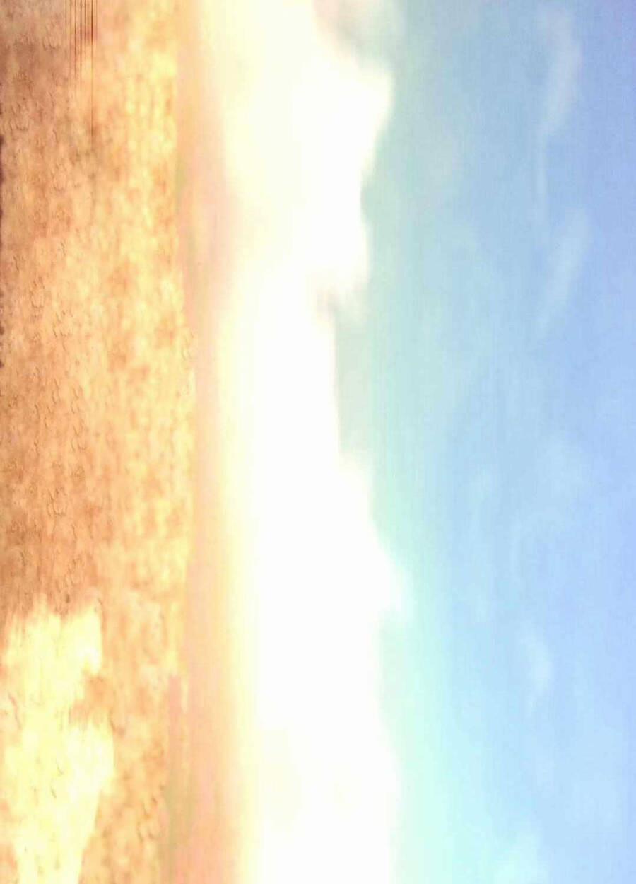 Phi Lôi Đạo 181 trang 22