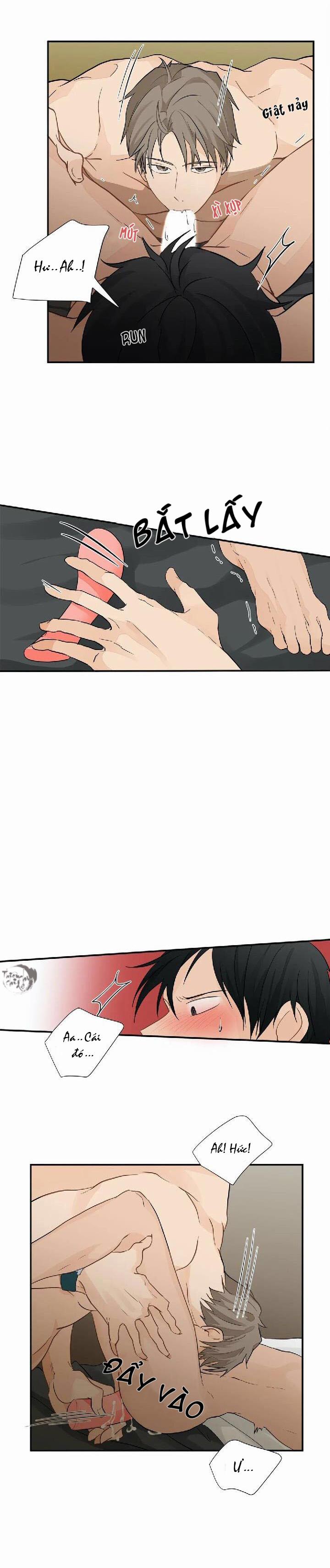 Phi Thường Hoàn Mỹ 2 trang 8