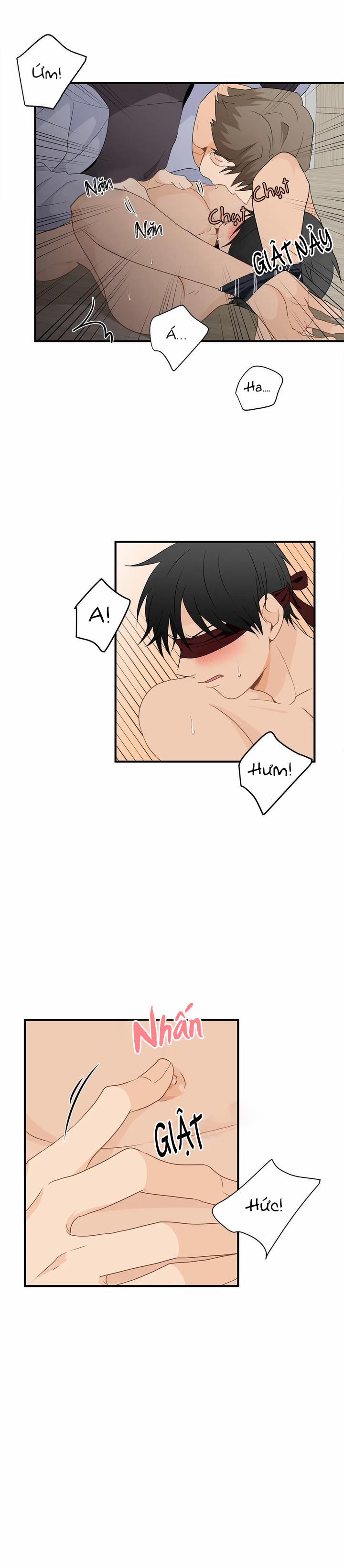 Phi Thường Hoàn Mỹ 22 trang 5