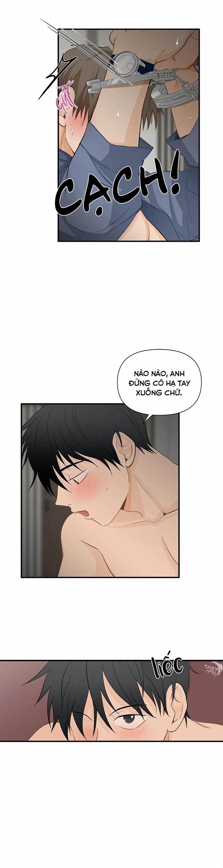 Phi Thường Hoàn Mỹ 25 trang 1