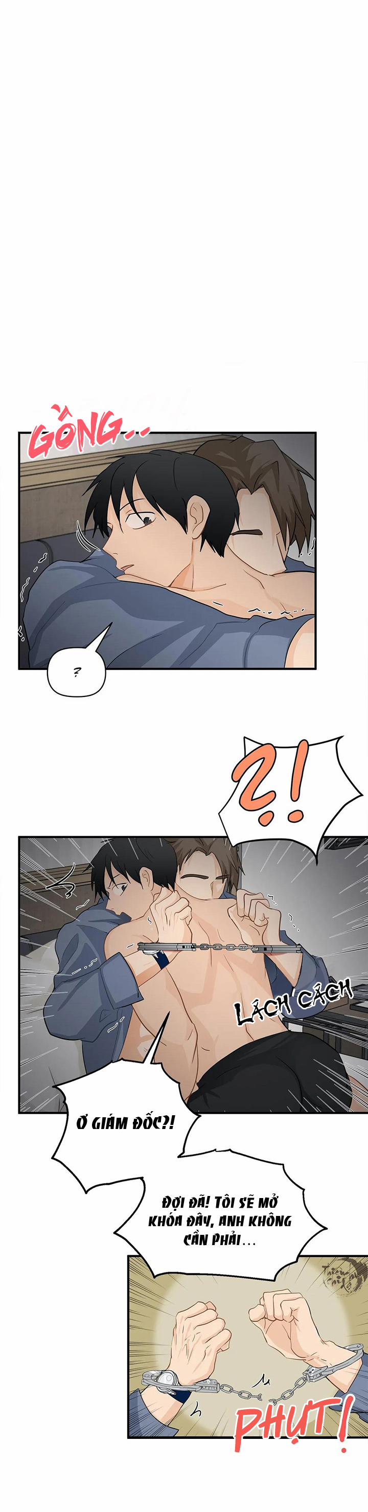 Phi Thường Hoàn Mỹ 25 trang 11