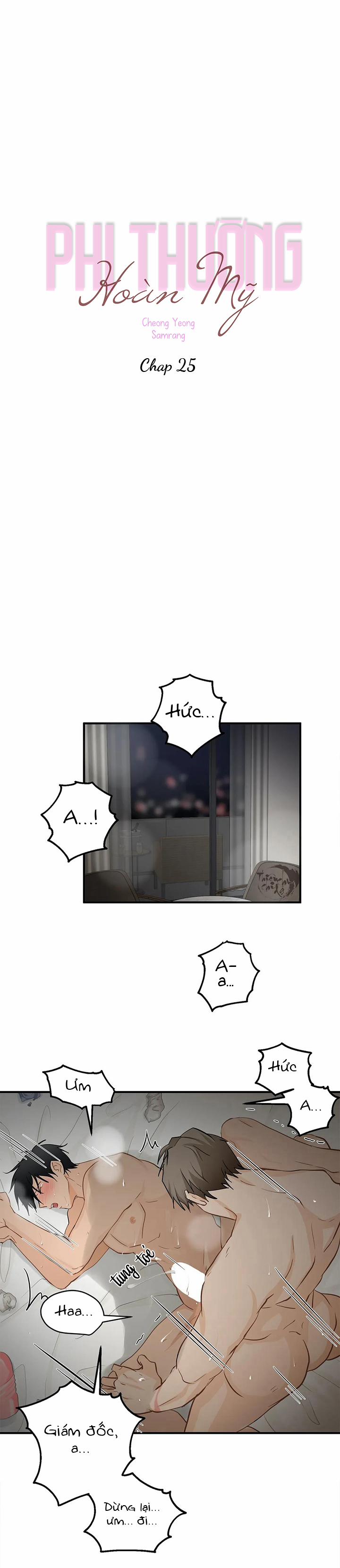 Phi Thường Hoàn Mỹ 25 trang 15