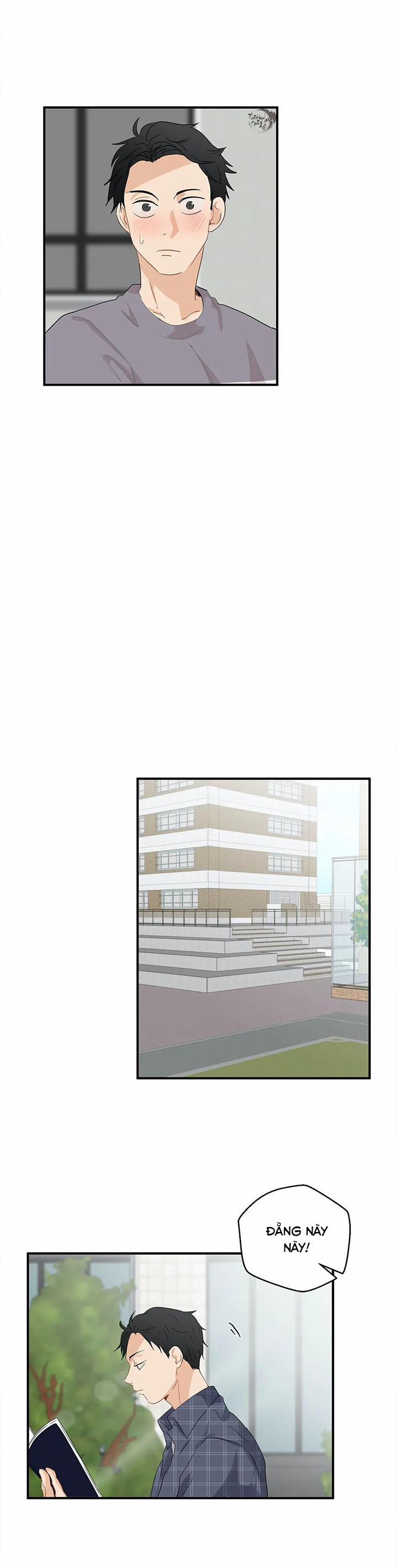 Phi Thường Hoàn Mỹ 35 trang 15