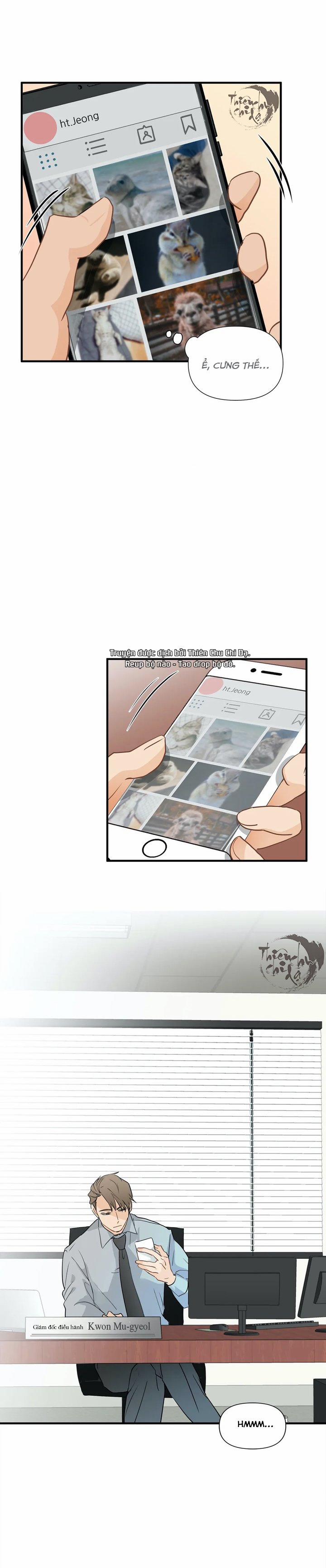 Phi Thường Hoàn Mỹ 8 trang 13