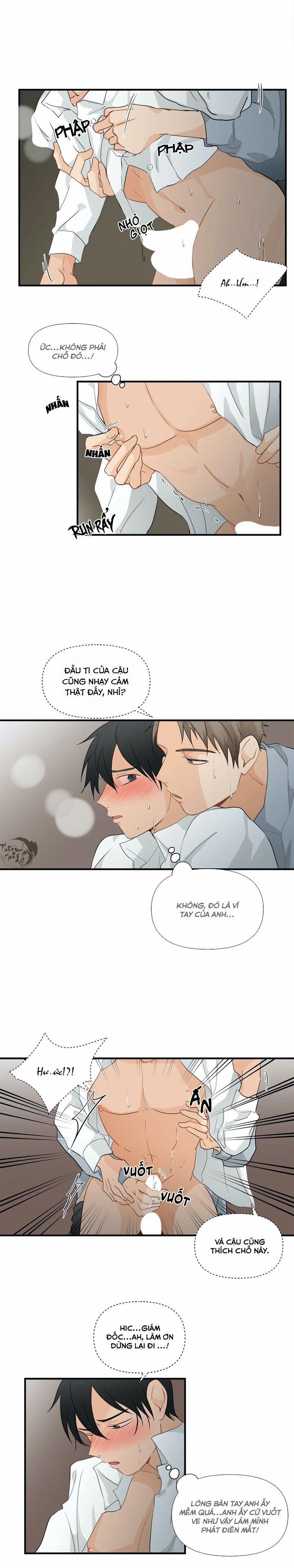 Phi Thường Hoàn Mỹ 8 trang 2