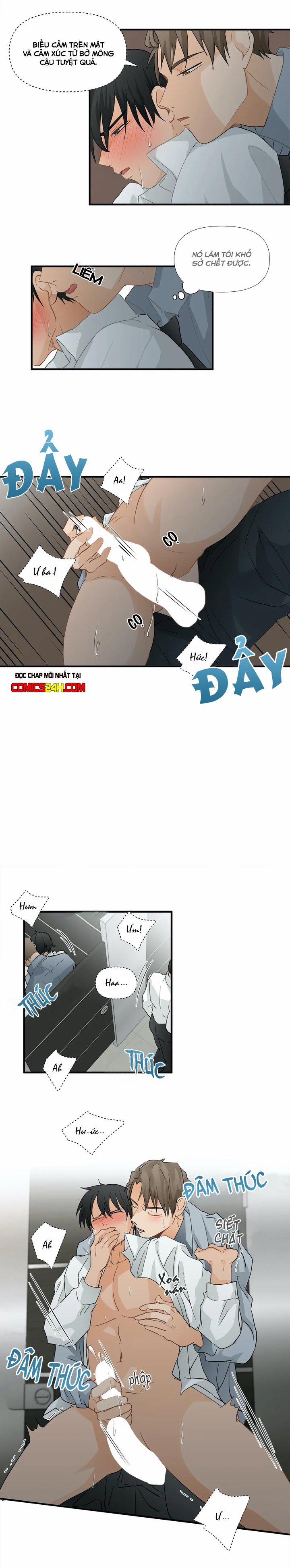 Phi Thường Hoàn Mỹ 8 trang 3