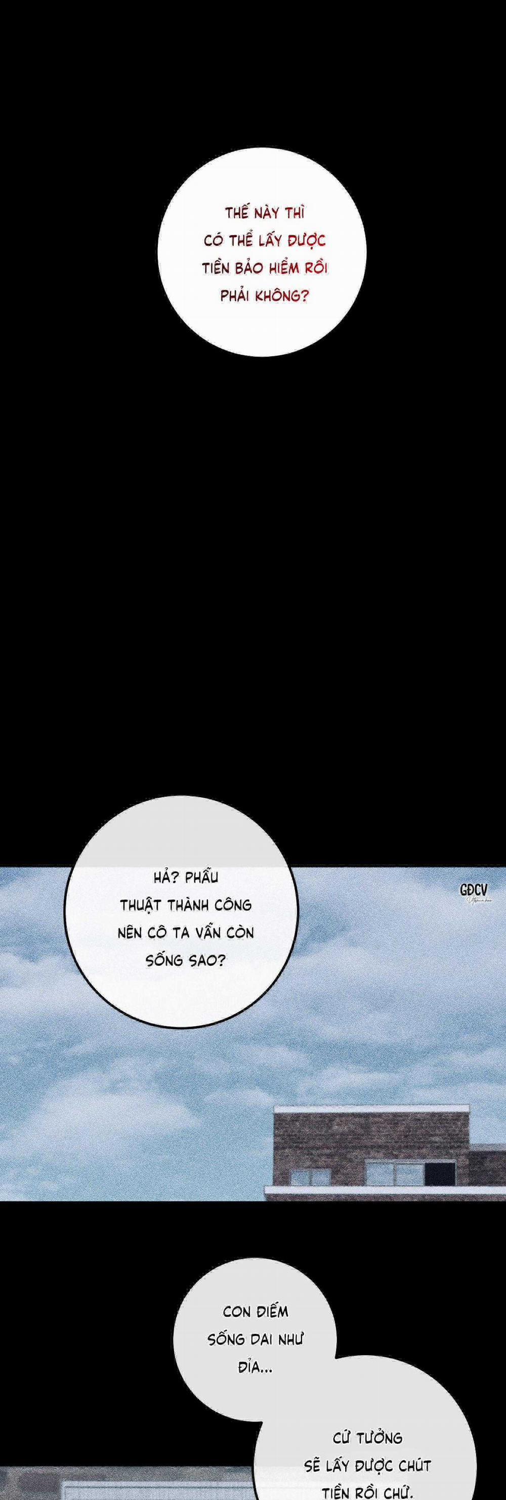 Phi Vụ Bẩn Thỉu 48 trang 5