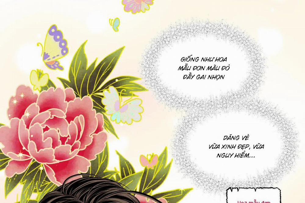 Phò Mã Quan Phu 12 trang 7