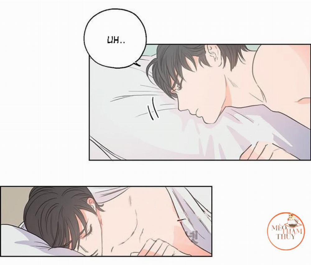 Phòng 1305 2 trang 31