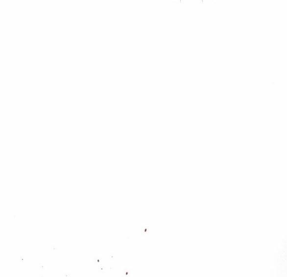 Phòng Ngủ Bí Mật Của Công Chúa Bị Bỏ Rơi 41.5 trang 23