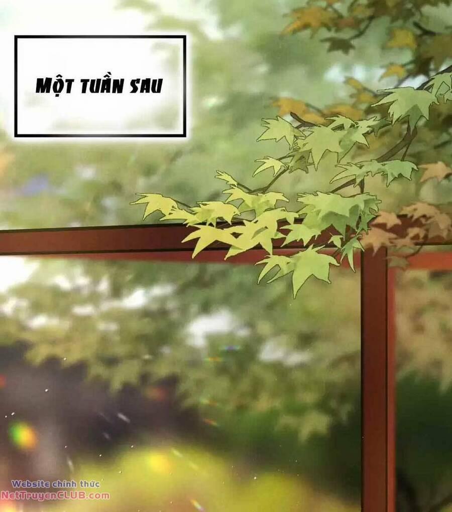 Phu Quân Ta Nuôi Từ Bé Muốn Thủ Tiêu Ta 34 trang 15