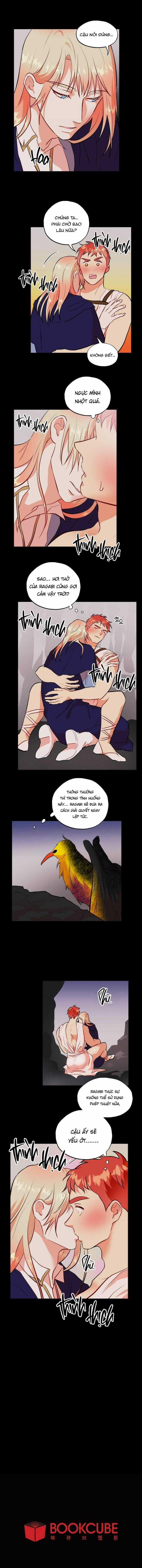 Phù Thủy Gợi Tình 71 trang 8