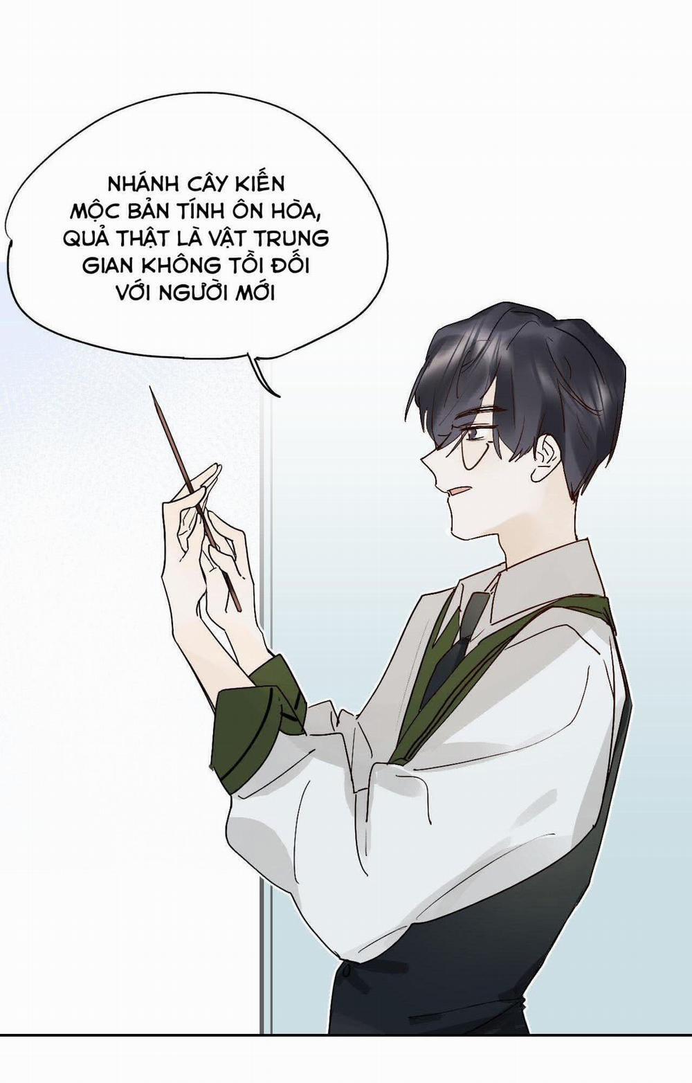 Phù Thủy Hạng Bét 3 trang 14