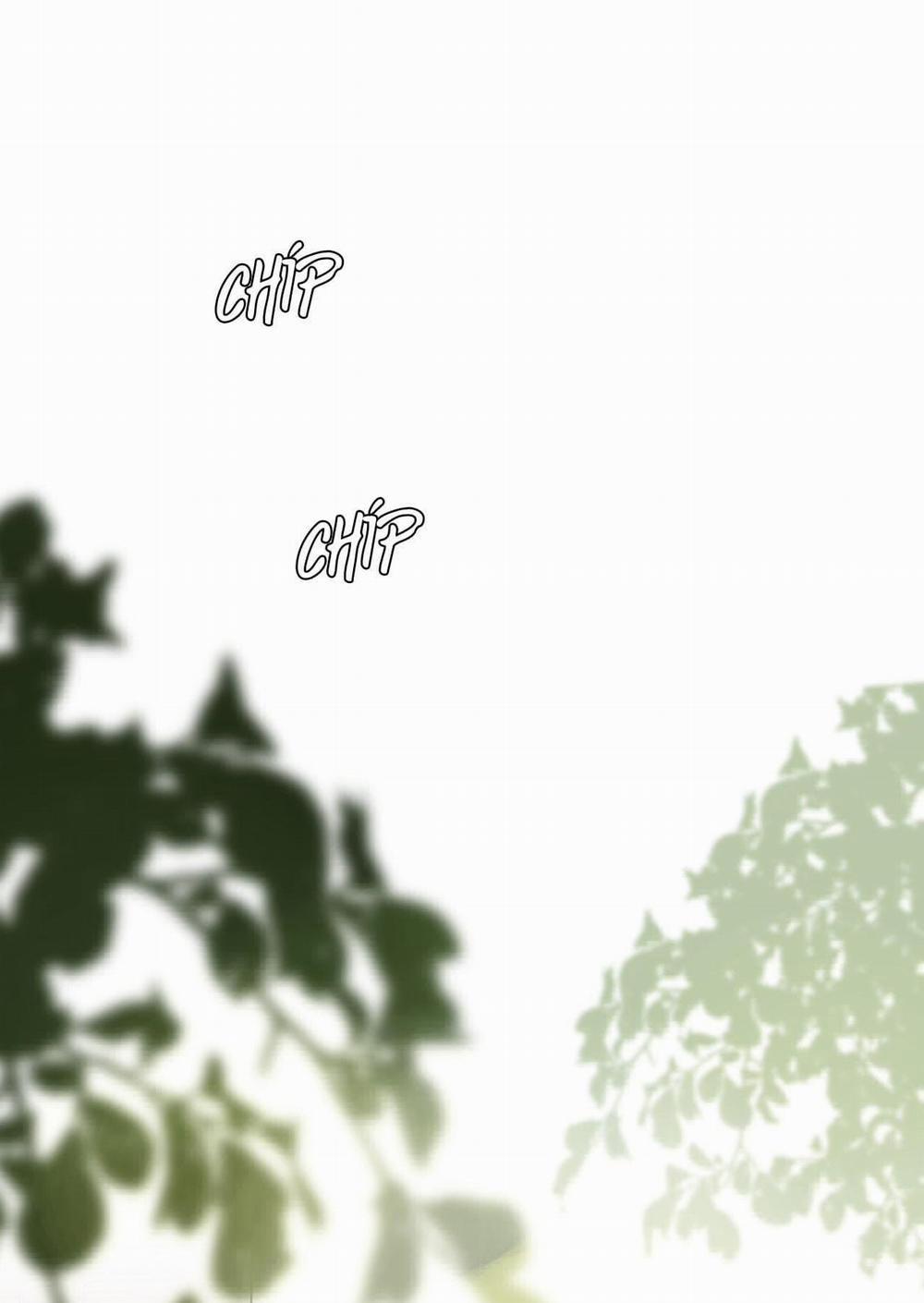 Phù Thủy Hạng Bét 9 trang 20