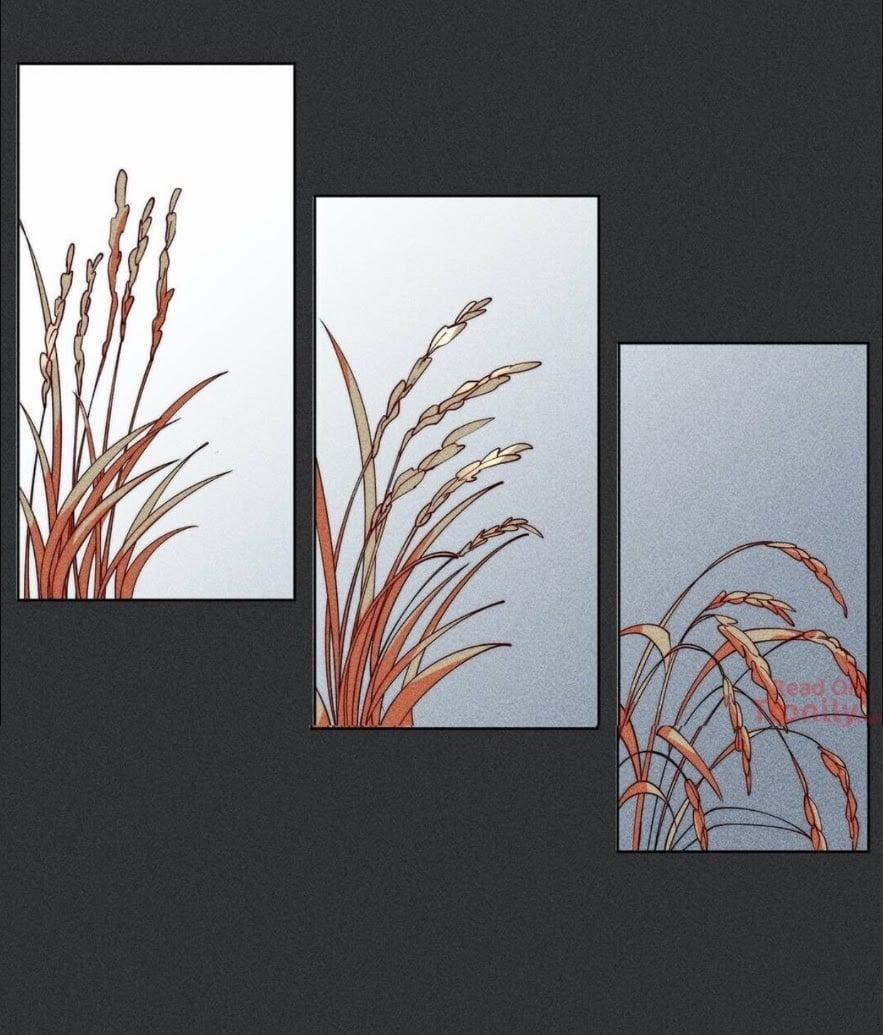 Phù Thuỷ Trinh Trắng Tuổi 30 30 trang 16