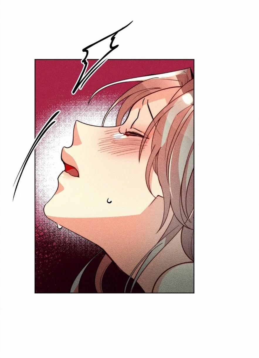 Phù Thuỷ Trinh Trắng Tuổi 30 35 trang 17