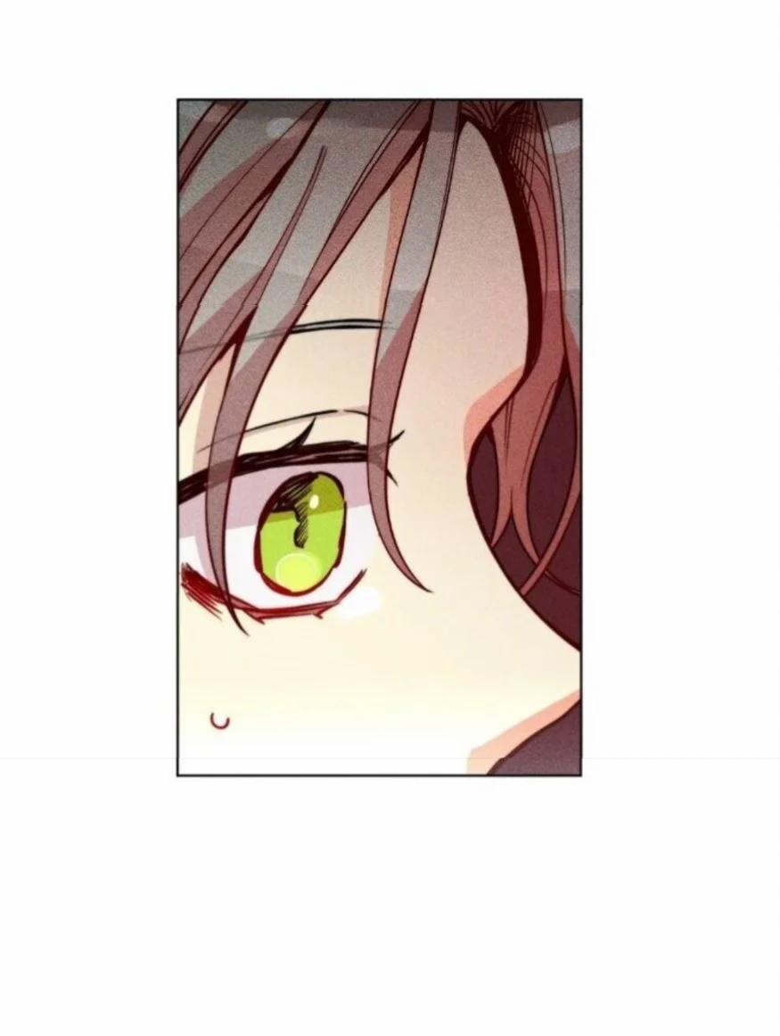 Phù Thuỷ Trinh Trắng Tuổi 30 37 trang 24