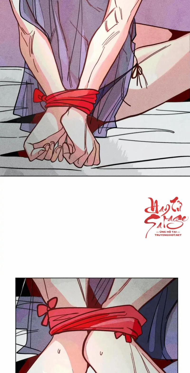 Phù Thuỷ Trinh Trắng Tuổi 30 90 trang 24