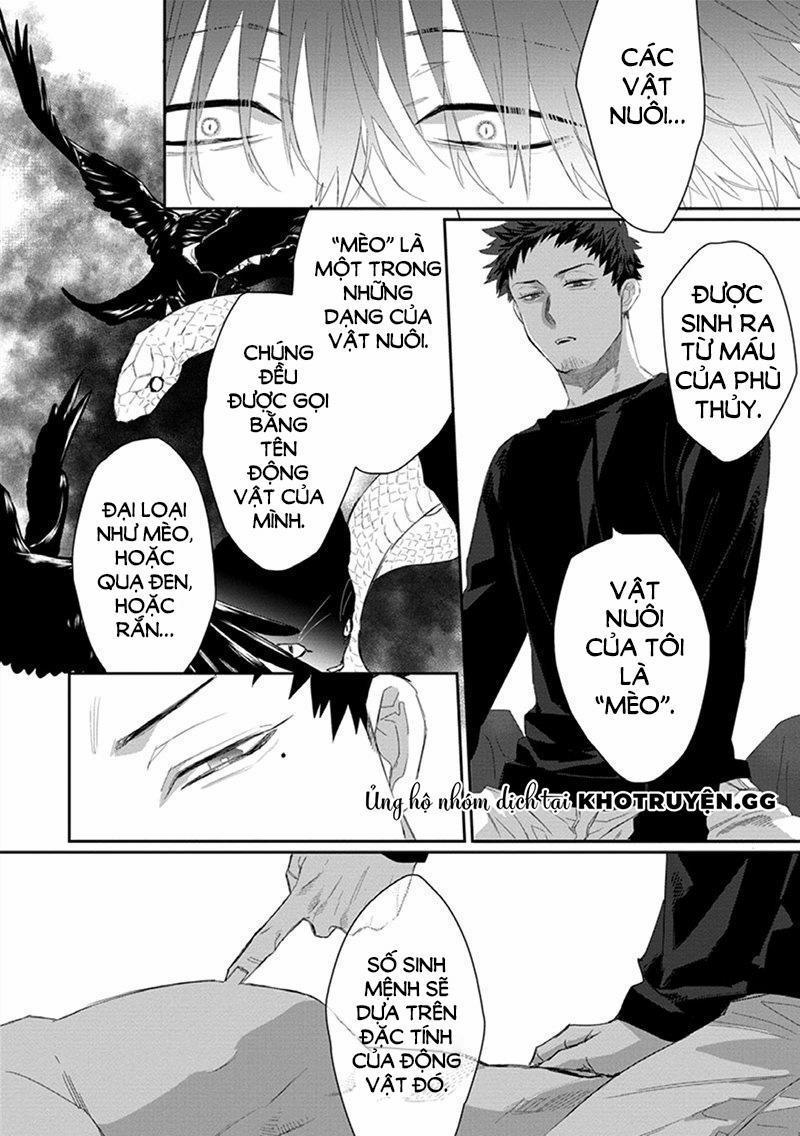 Phù Thủy Và Chàng Mèo Của Anh 2 trang 5