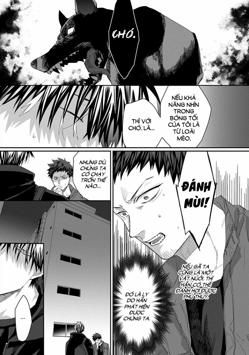 Phù Thủy Và Chàng Mèo Của Anh 3 trang 12