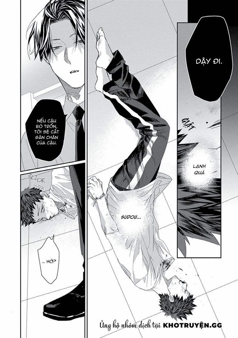 Phù Thủy Và Chàng Mèo Của Anh 5 trang 9