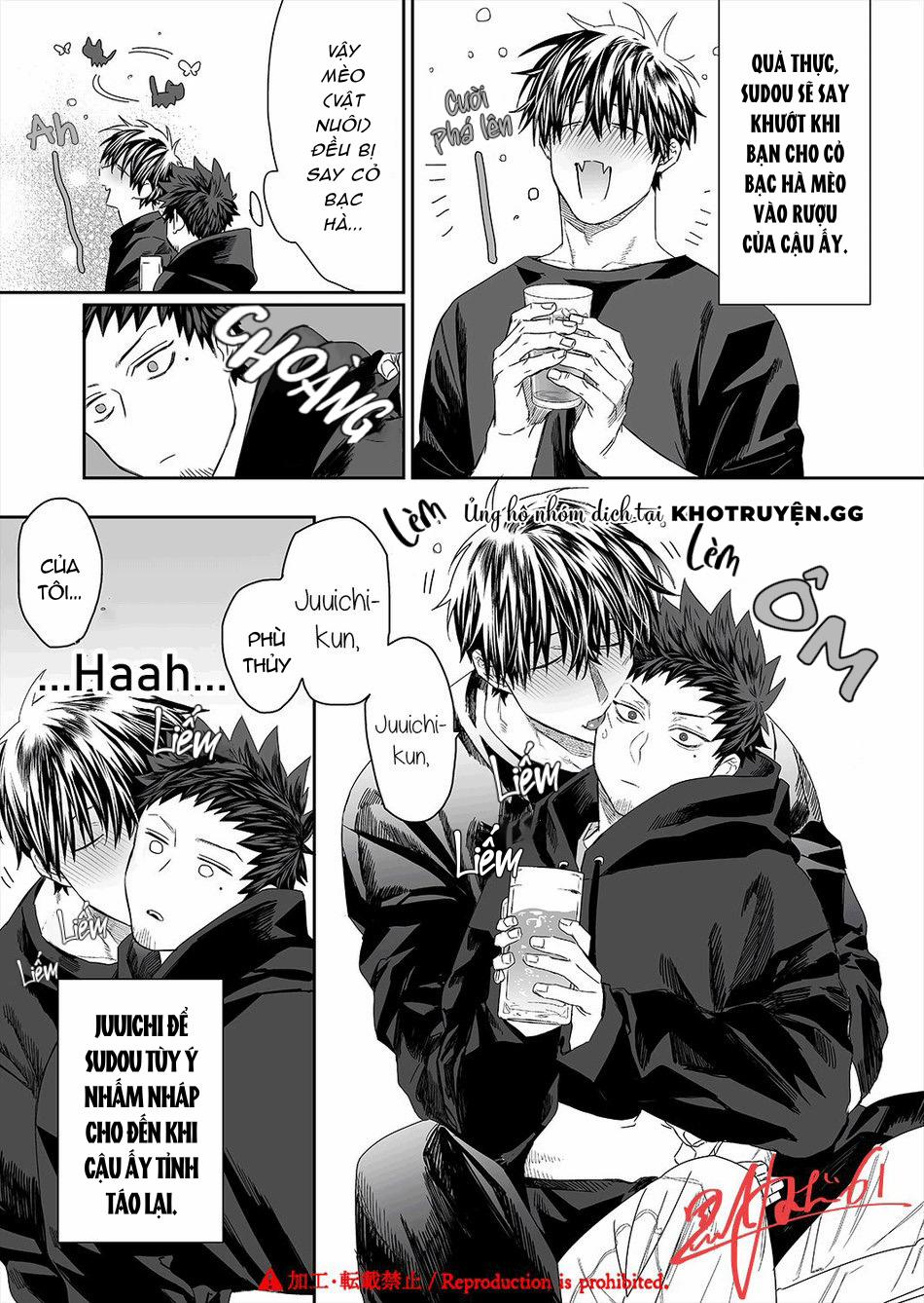 Phù Thủy Và Chàng Mèo Của Anh 8 trang 1