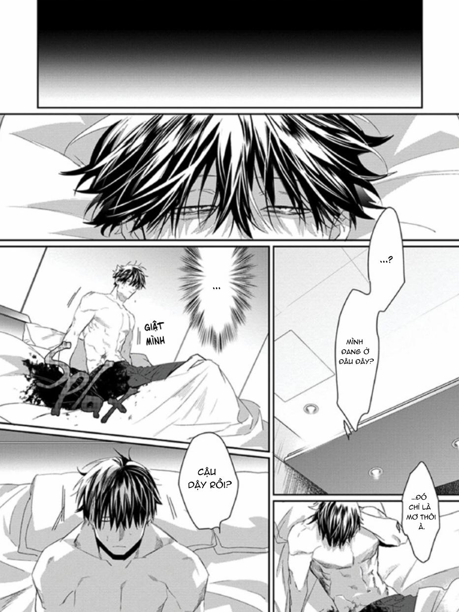 Phù Thủy Và Chú Mèo 1 trang 41