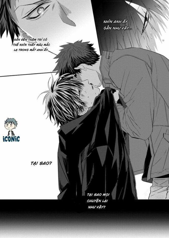 Phù Thủy Và Chú Mèo 1 trang 7