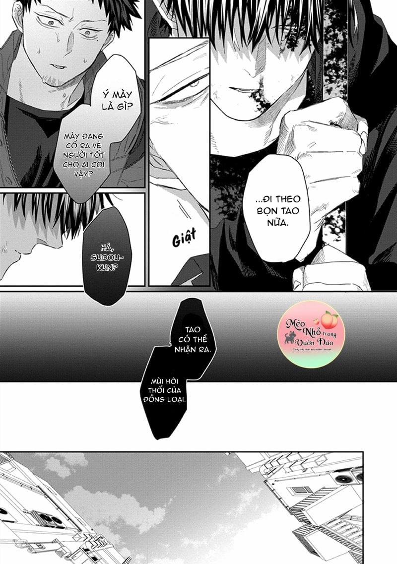 Phù Thủy Và Chú Mèo 3 trang 36