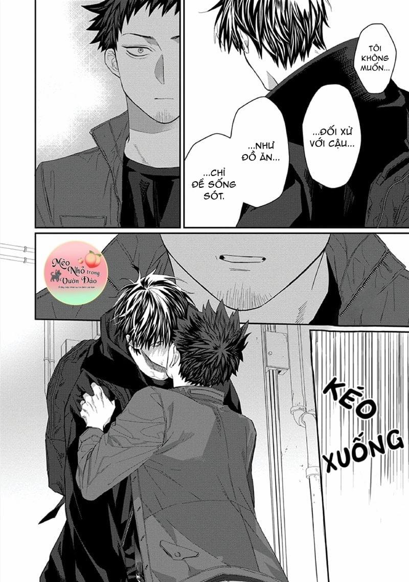 Phù Thủy Và Chú Mèo 3 trang 39