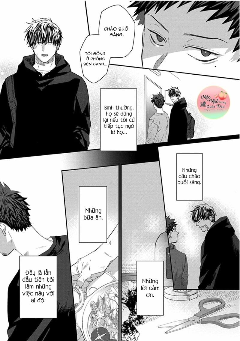 Phù Thủy Và Chú Mèo 3 trang 4