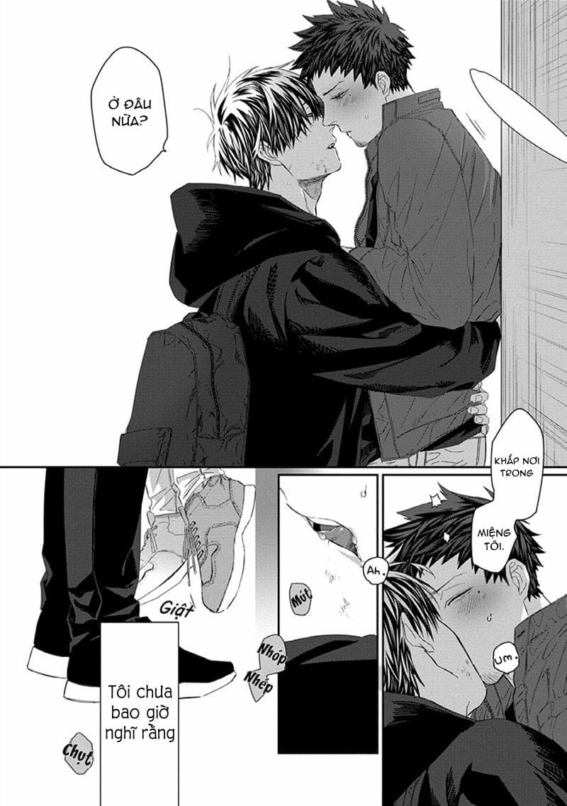 Phù Thủy Và Chú Mèo 3 trang 41