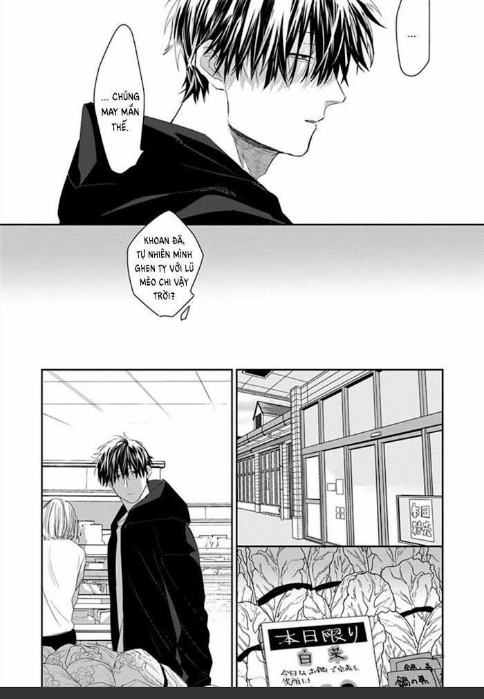 Phù Thủy Và Mèo 1 trang 21