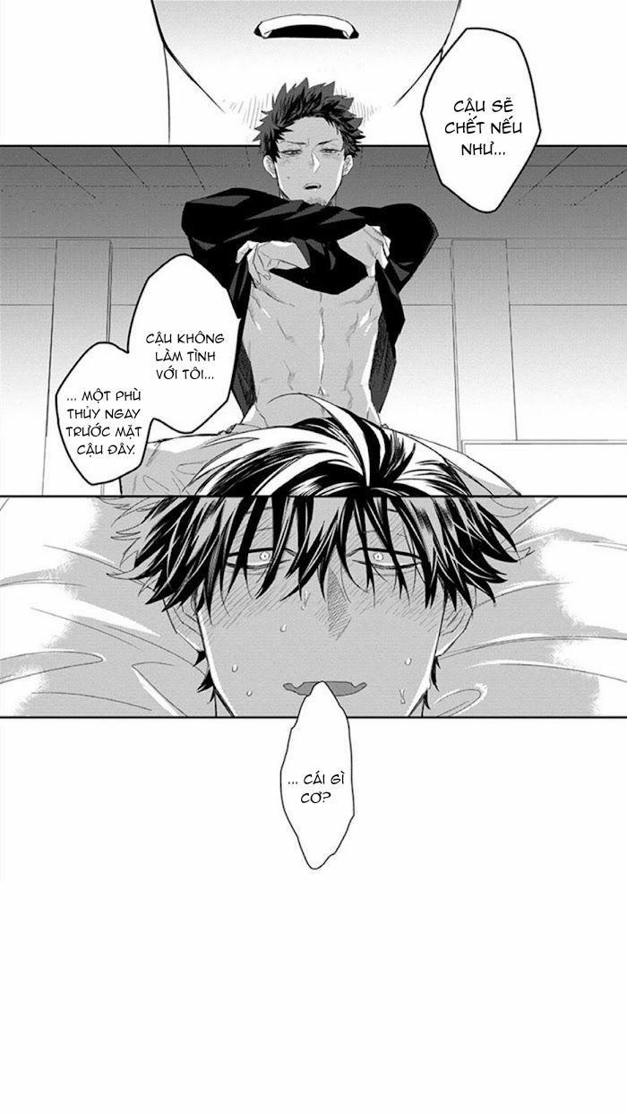 Phù Thủy Và Mèo 1 trang 42