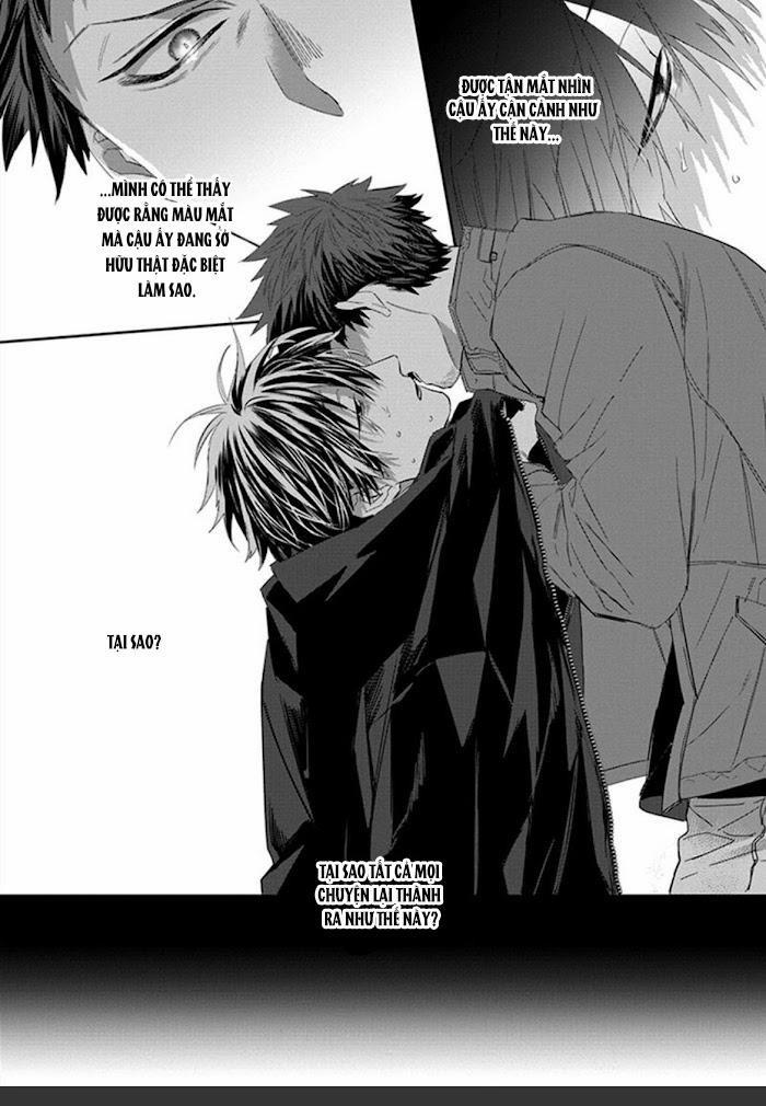 Phù Thủy Và Mèo 1 trang 6