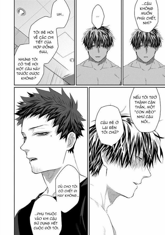 Phù Thủy Và Mèo 2 trang 11