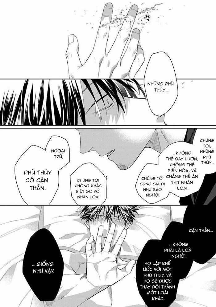 Phù Thủy Và Mèo 2 trang 3