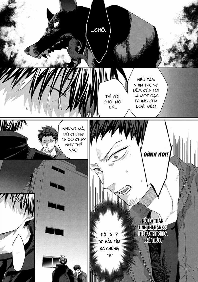 Phù Thủy Và Mèo 3 trang 12