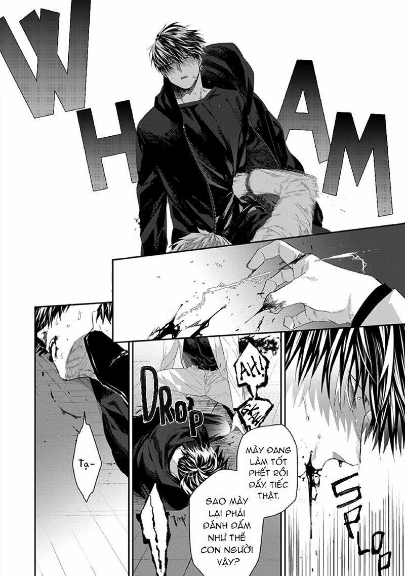 Phù Thủy Và Mèo 3 trang 23