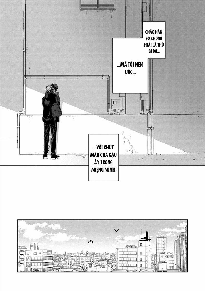 Phù Thủy Và Mèo 3 trang 43