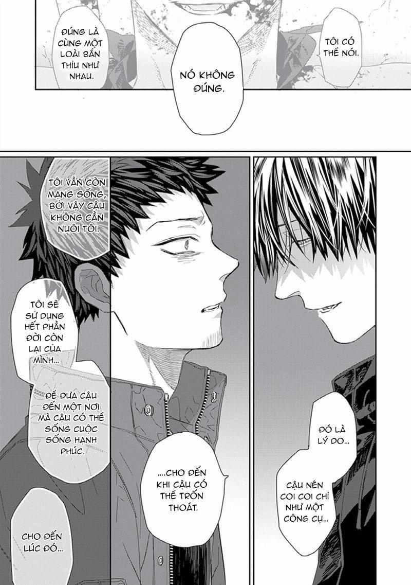 Phù Thủy Và Mèo 4 trang 22