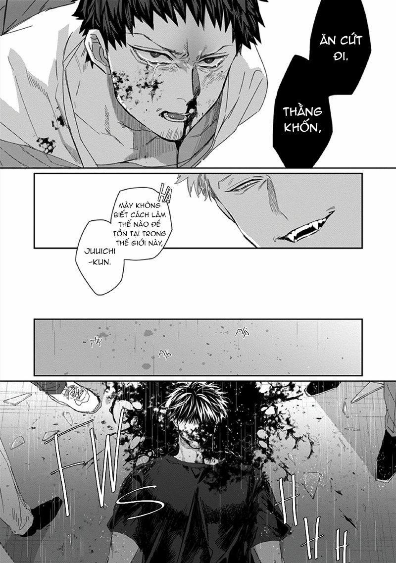 Phù Thủy Và Mèo 4 trang 41