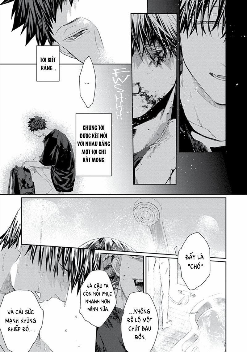 Phù Thủy Và Mèo 4 trang 8