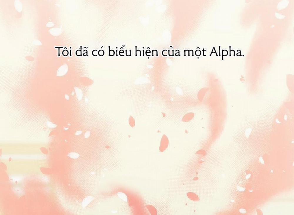 Phức Cảm Tự Ti Của Omega 30 trang 5