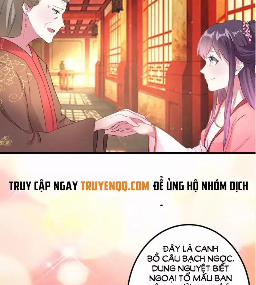 Phúc Hắc Vương Gia Đừng Làm Loạn 12 trang 7