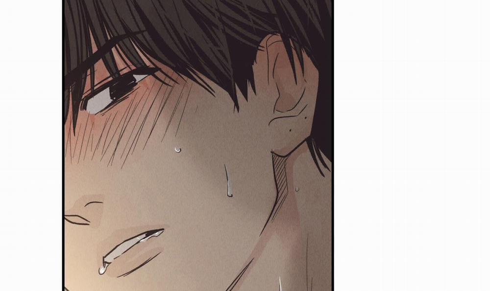 Phục Thù 64 trang 13