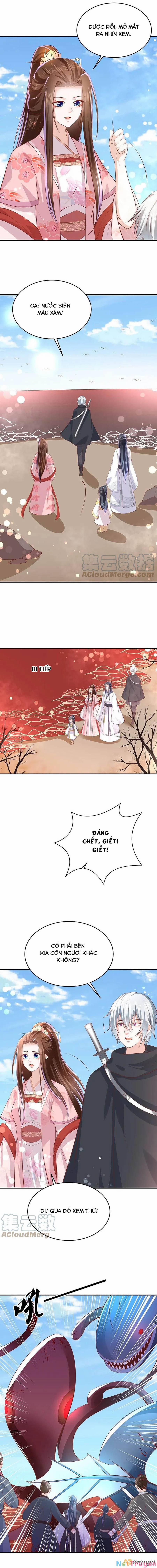 Phượng Hoàng Thác: Chuyên Sủng Khí Thê 241 trang 3