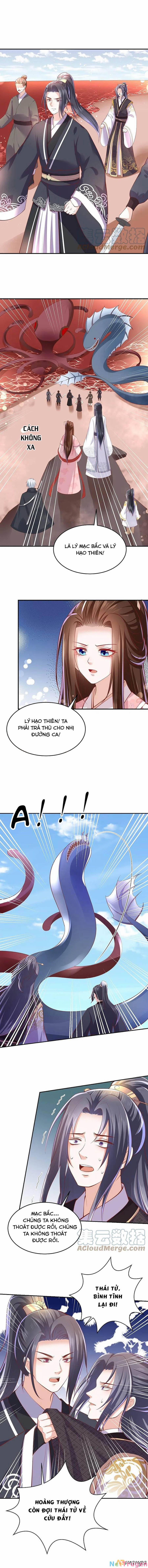 Phượng Hoàng Thác: Chuyên Sủng Khí Thê 241 trang 4