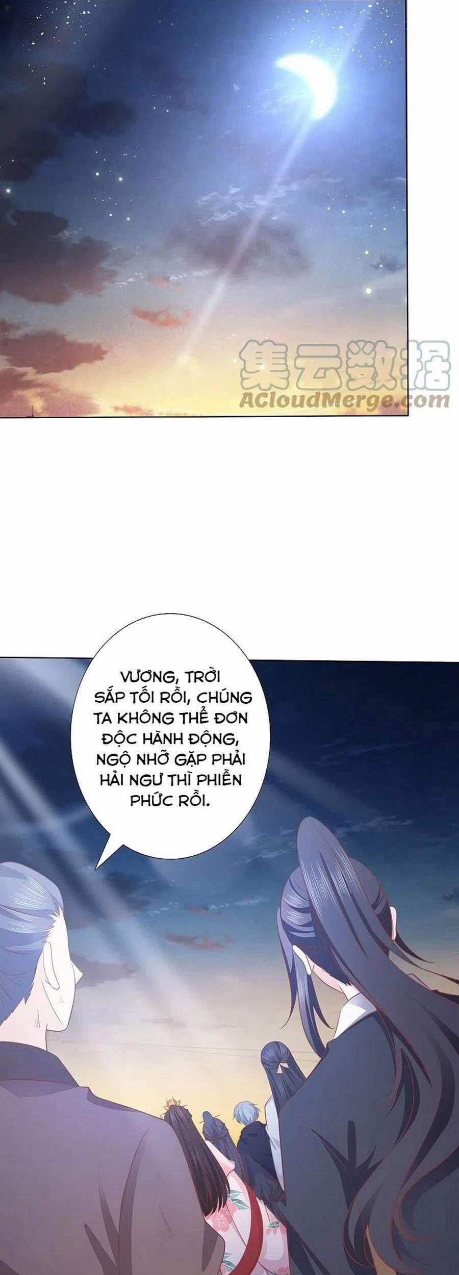 Phượng Hoàng Thác: Chuyên Sủng Khí Thê 242 trang 18