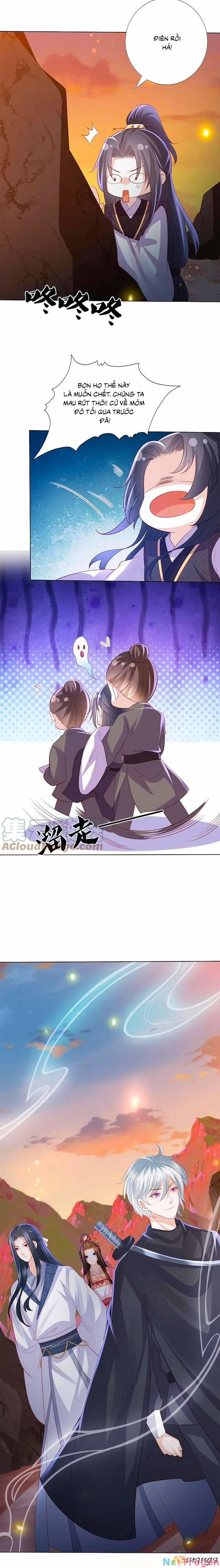 Phượng Hoàng Thác: Chuyên Sủng Khí Thê 244 trang 0